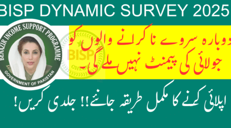 BISP Dynamic Registry Survey June 2025
