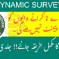 BISP Dynamic Registry Survey June 2025