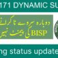 8171 dynamic survey pending status