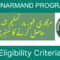 BISP Hunarmand Program Eligibility Criteria Complete Guide