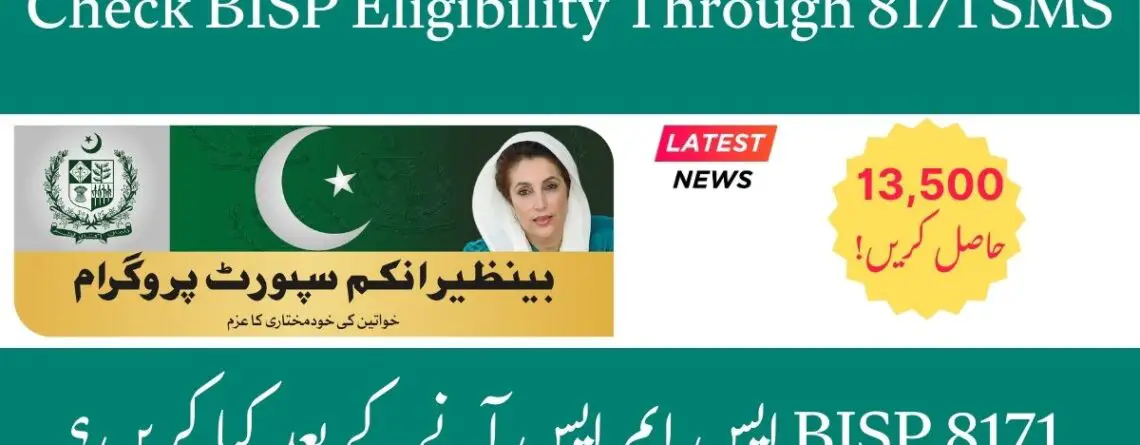 Check BISP Eligibility Through 8171 SMS