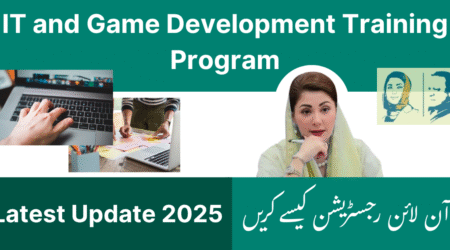 IT and Game Development Training Program 2025